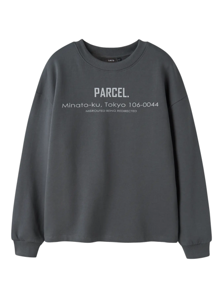 Lmtd Narcel  Ls Loose Sweat